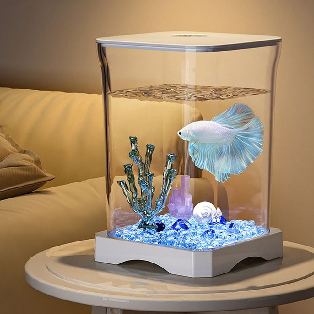 Bettas & Accessories