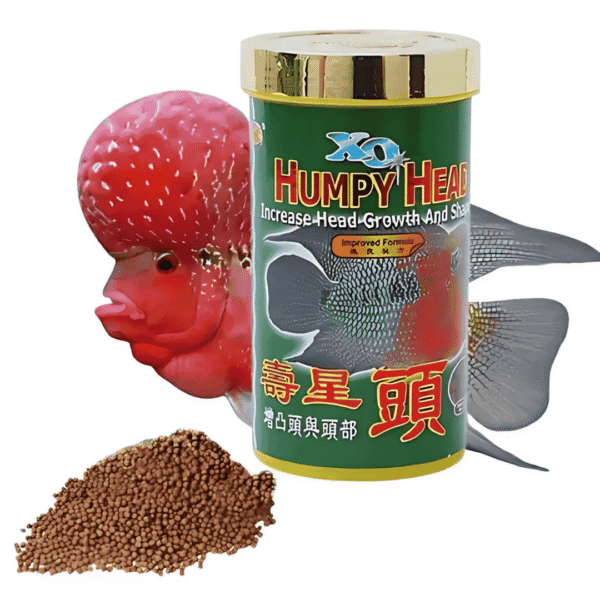 Humpy Head flowerhorn fish food