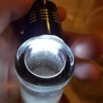 vinegar eel started culture