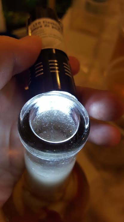 vinegar eel started culture